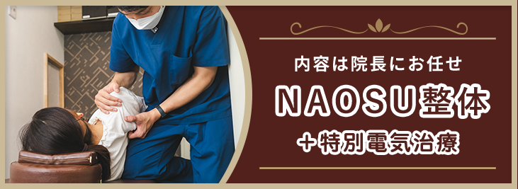 NAOSU整体